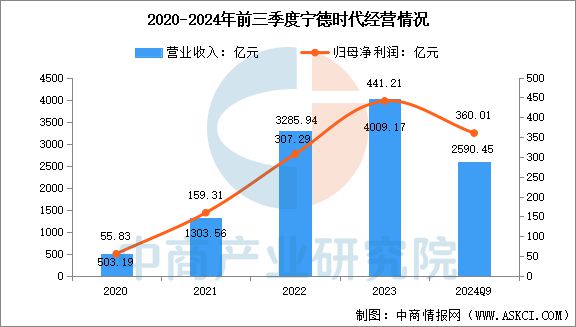 2025年中国储能电池行业市场前景预测研究报告(图9)