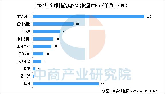 2025年中国储能电池行业市场前景预测研究报告(图7)