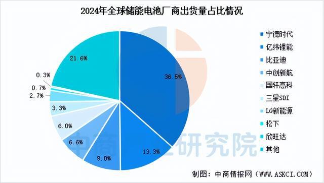 2025年中国储能电池行业市场前景预测研究报告(图8)