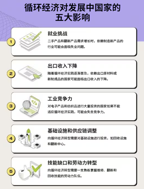 循环经济：发展中国家强化韧性的新引擎(图2)