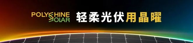 财报里的户用储能“密码”：业绩冷暖不同海外决定生死(图8)