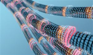 2023储能电池行业深度调研 储能电池产品及原材料产业集群发展分析(图6)