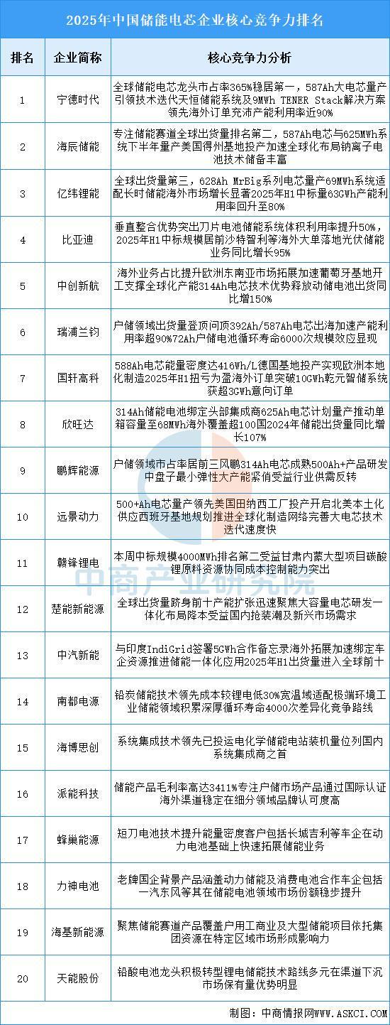 2025年中国储能电芯行业市场前景预测研究报告(图7)