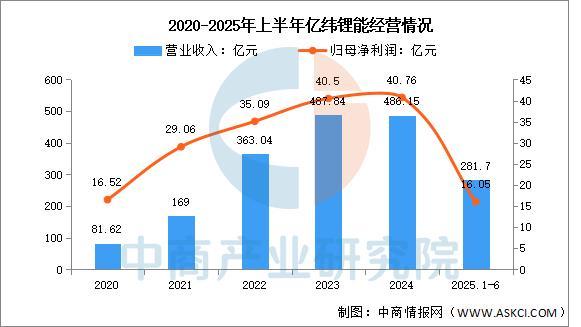 2025年中国储能电芯行业市场前景预测研究报告(图10)
