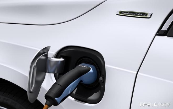 中国在美贸易谈判中的新“武器”：电池领域(图3)