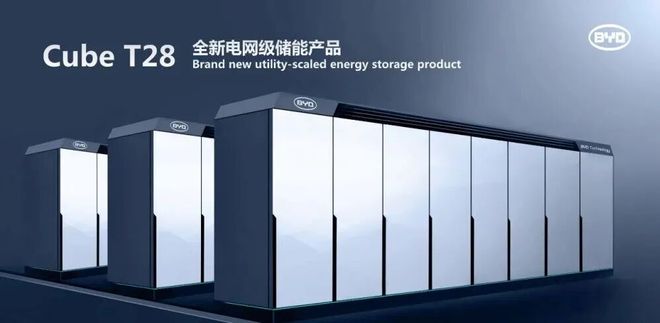 王传福的第二张王牌(图2)