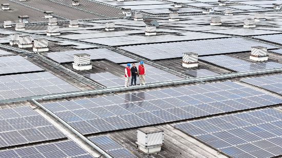 聚能成势 向绿而行——国网资阳供电公司服务新能源高质量发展(图2)